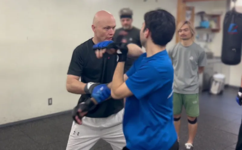 functional wing chun lapsao technique
